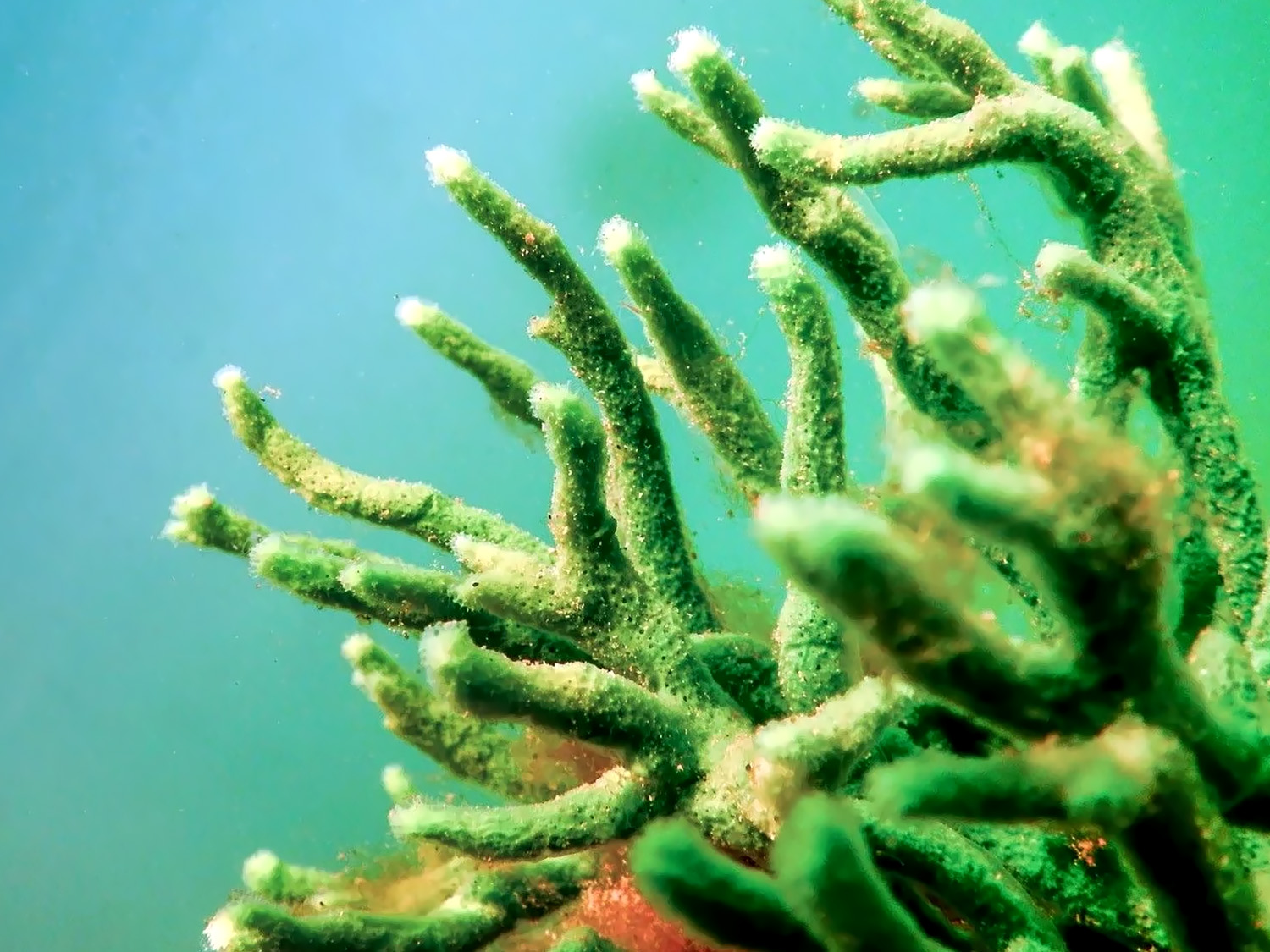 SQT: Natuurlijke huidverbetering